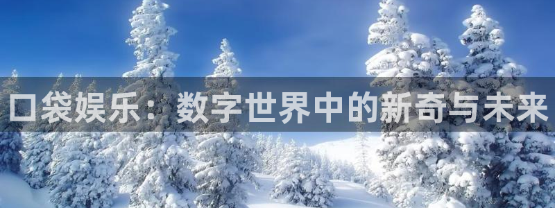 东莞市okooo澳客电子科技有限公司